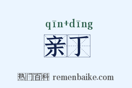 亲丁是什么意思的图片